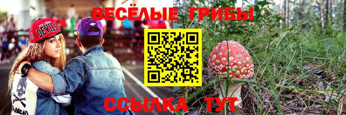 Каспийск  Галлюциногенные грибы Cubensis  Вход с VPN 